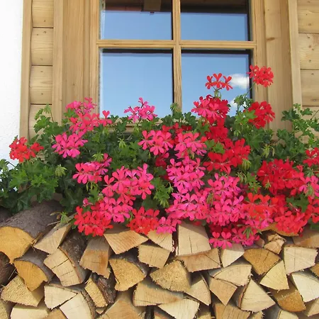 Hotel Garni Bavaria-3
